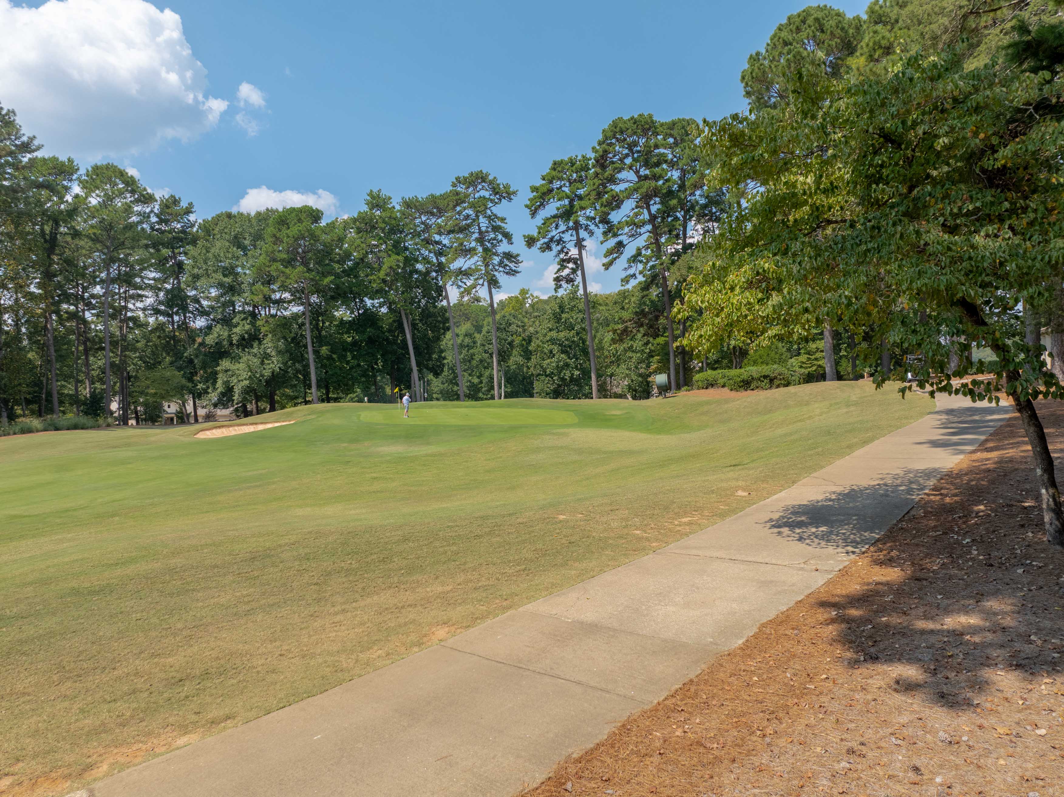 1011 Kimbrough Hill Drive image 9